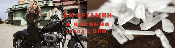 шишки Арсеньев