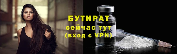шишки Арсеньев