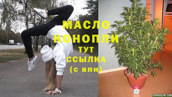 шишки Арсеньев