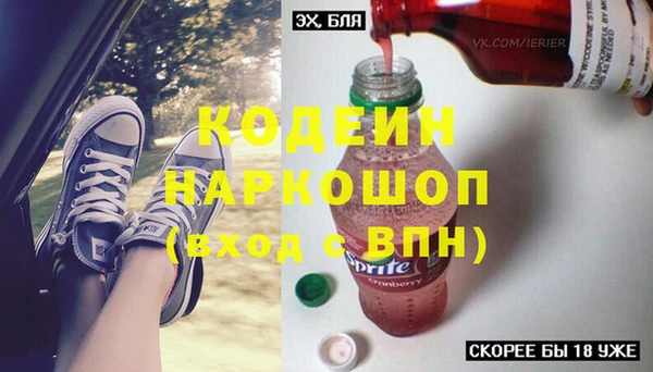 шишки Арсеньев