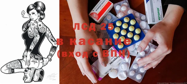 шишки Арсеньев