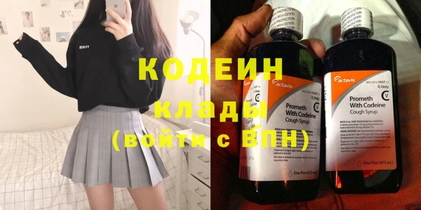 шишки Арсеньев