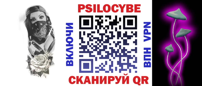Псилоцибиновые грибы Psilocybe купить Палласовка